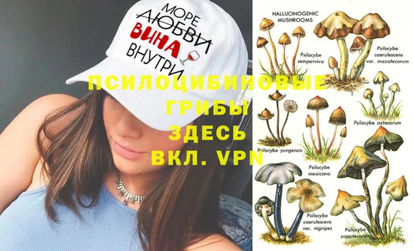 винт Аркадак