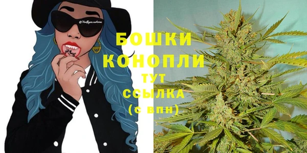 винт Аркадак
