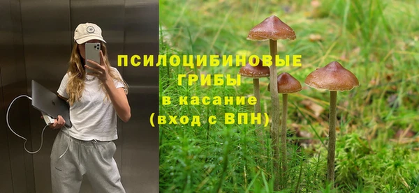 тгк Армянск