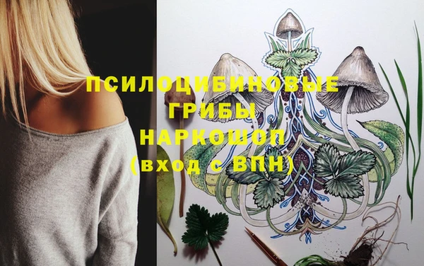 винт Арсеньев